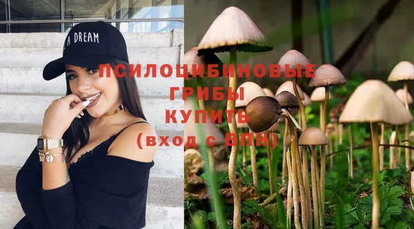 каннабис Абаза