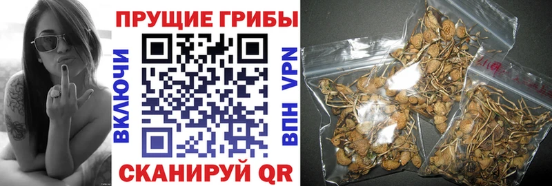 Псилоцибиновые грибы MAGIC MUSHROOMS что такое blacksprut как войти Тюкалинск